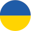 mini flag